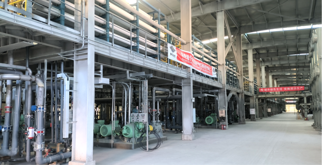 ��ͷ�� | ����Ү�κ���ֵ�ؼ�̼�����Ŀ˳���ˮ��������������