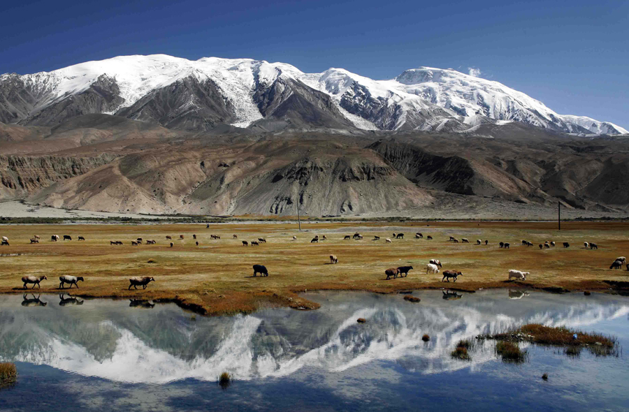 ��ͷ�� | �ĵ�ͭ�������÷�����ΰ�¹���1946Ӫҵ�½ṹ