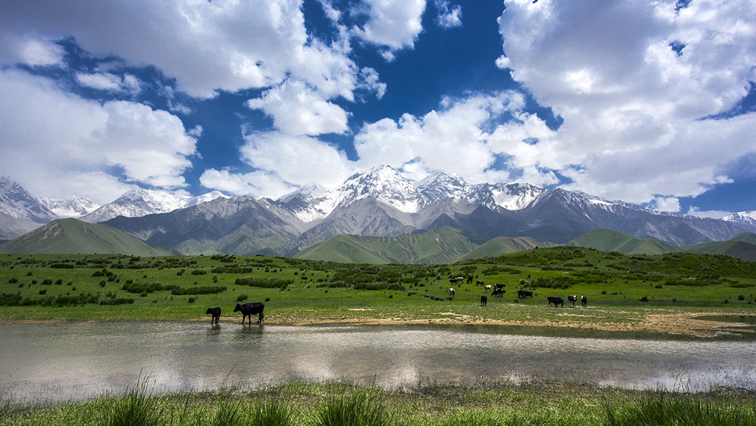 ��ͷ�� | һ����ΰ�¹���1946�ֳɾ�������ͭ��