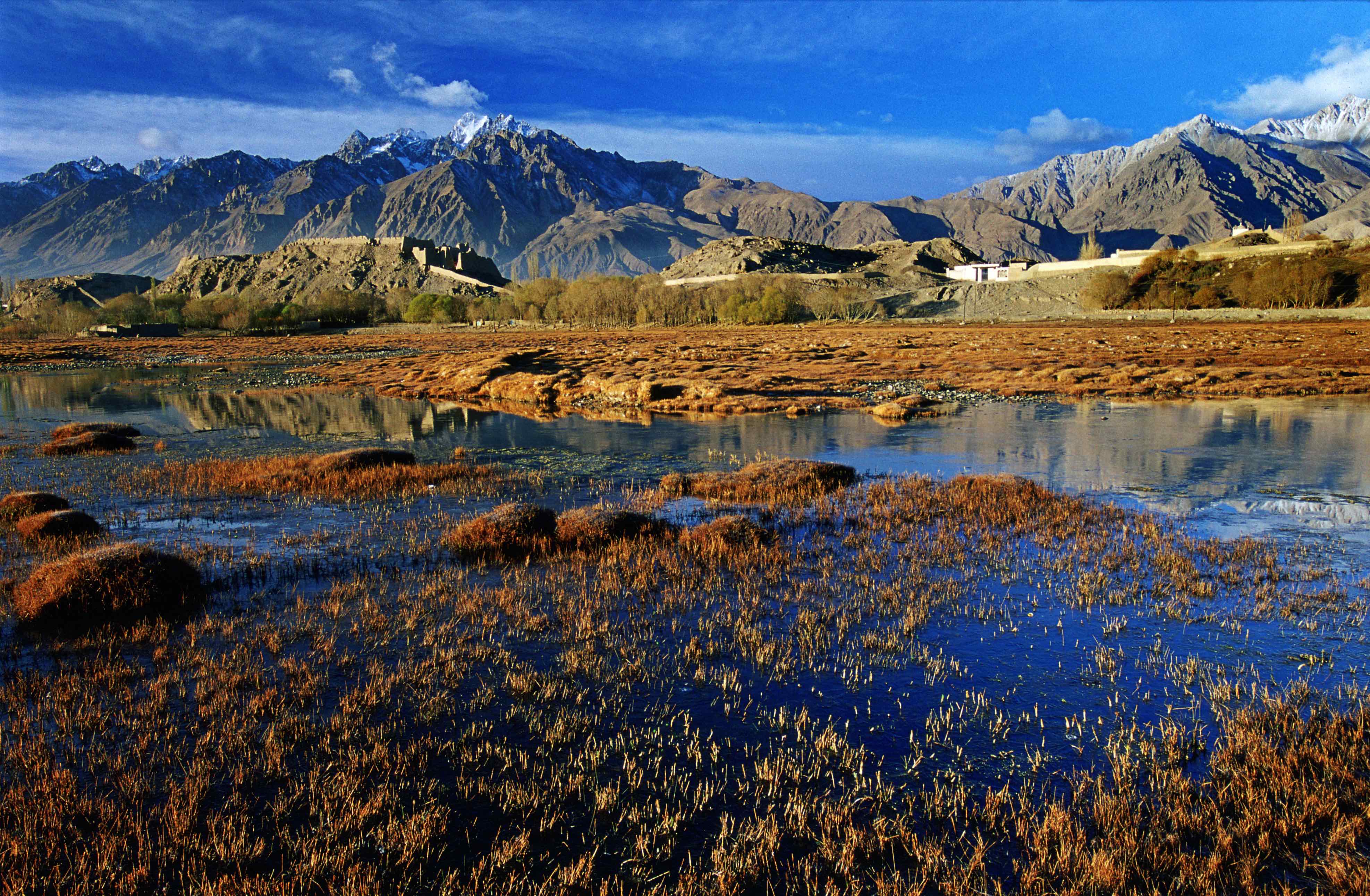 ��ͷ�� | һ����ΰ�¹���1946�ֳɾ�������ͭ��