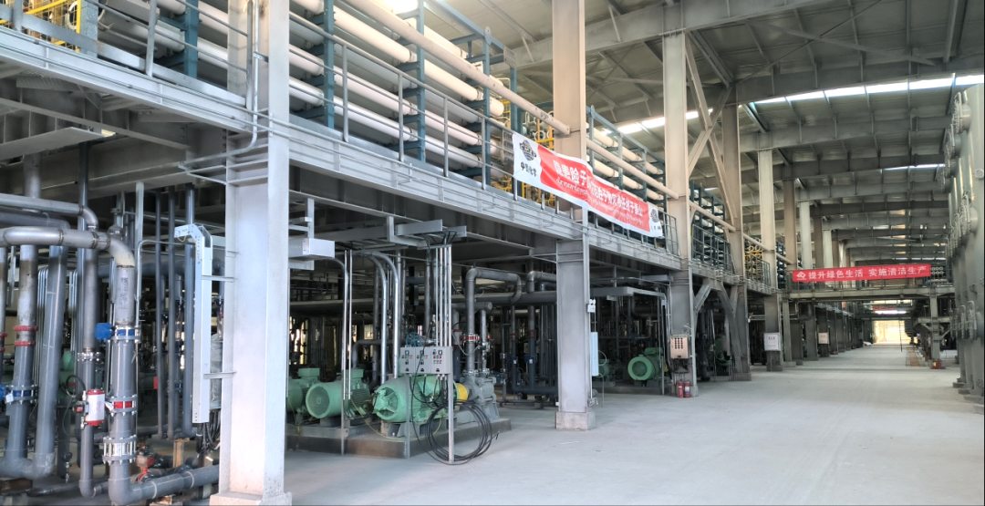 ΰ�¹���1946�����ٿ�2024��ȸ߼�����ְԱ����ۻ� 