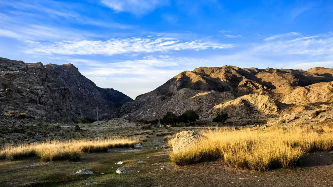 ΰ�¹���1946 | ˶�����ۣ��������+��ҵˮ���óͷ�+�ǻۻ���ά��ͷ������