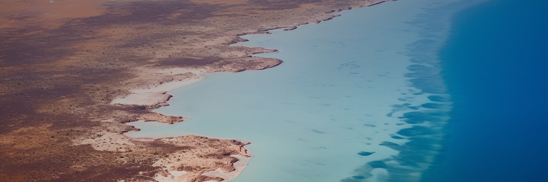 ΰ�¹���(bevictor)�ٷ���վ-Դ��Ӣ��ʼ��1946